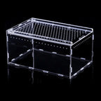 Transparent Acrylic Reptile Terrarium – Ventilated Lizard Habitat Reptile Terrarium Richie's -25x15x15cm