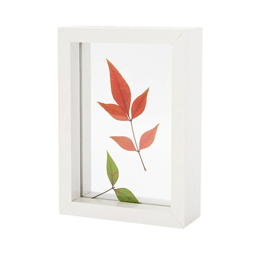 Wooden Glass Leaf Specimen Frame – Double-Sided Display Specimen Display Frame Richie's White-5inch