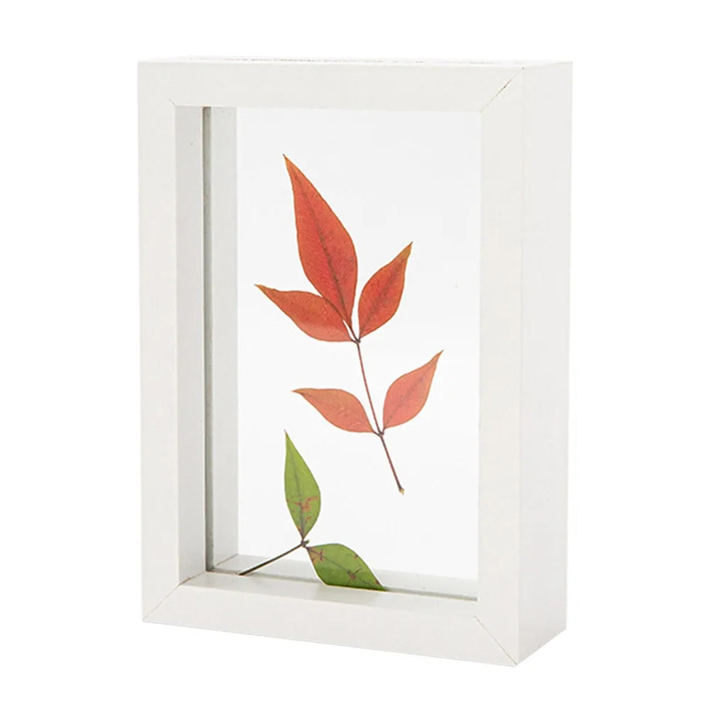 Wooden Glass Leaf Specimen Frame – Double-Sided Display Specimen Display Frame Richie's White-6inch
