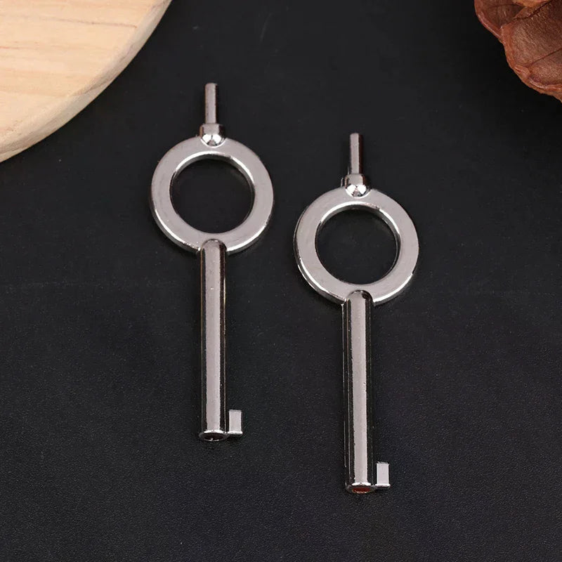 Zinc Alloy Handcuff Keys 2pcs – Universal Flat Key Blank Handcuff Keys Richie's