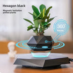 Magnetic Levitation Floating Bonsai Pot Geometric Desk Ornament Levitating Desk Ornament Richie's