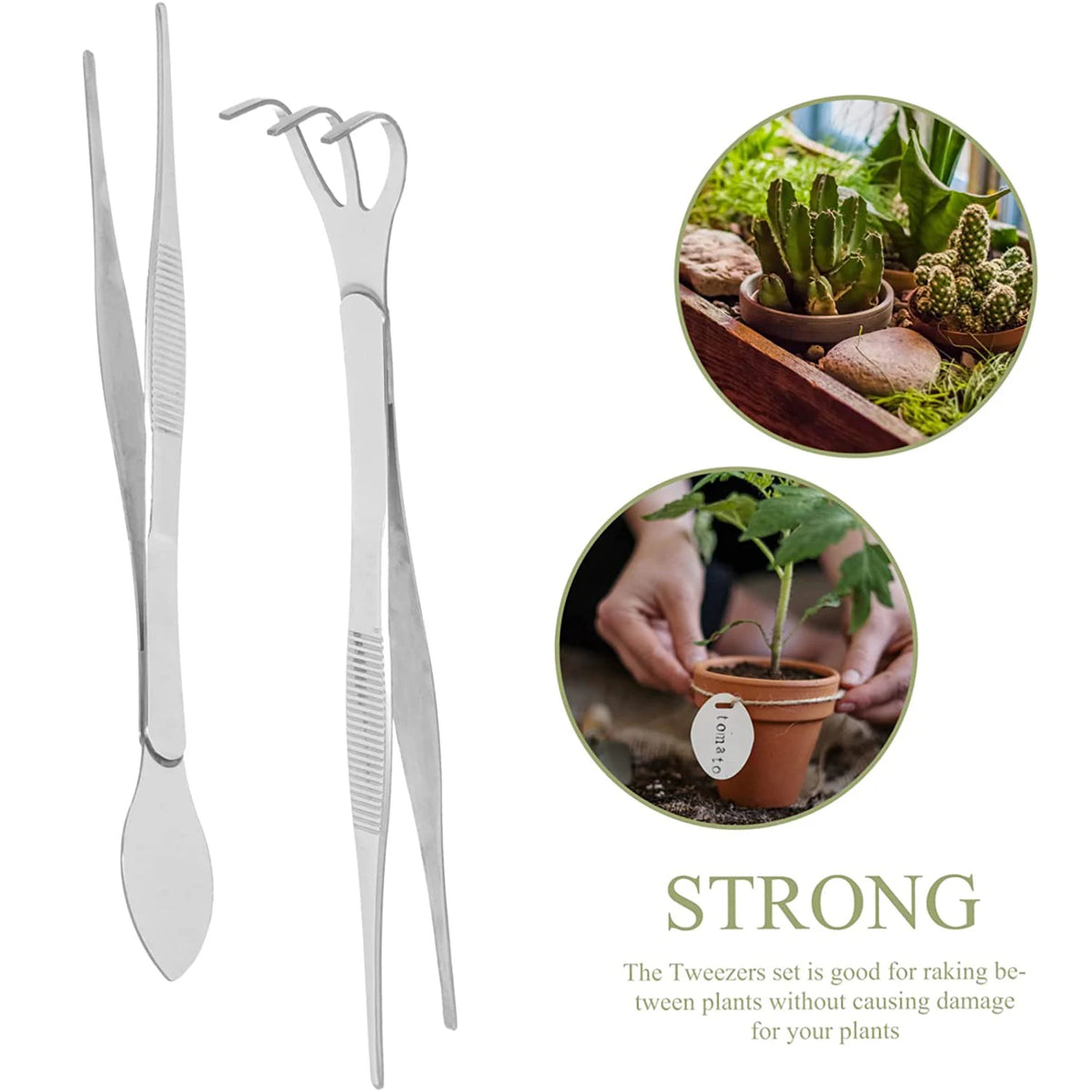 2-in-1 Bonsai Root Rake & Tweezers – 304 Stainless Steel Bonsai Garden Tool Richie's
