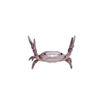 Funny Weightlifting Crab Pen Holder – Cute Desk Organizer Desk Pen Holder Richie's Purple