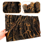 3D Tree Root Aquarium & Reptile Terrarium Background Board Terrarium Background Panel Richie's