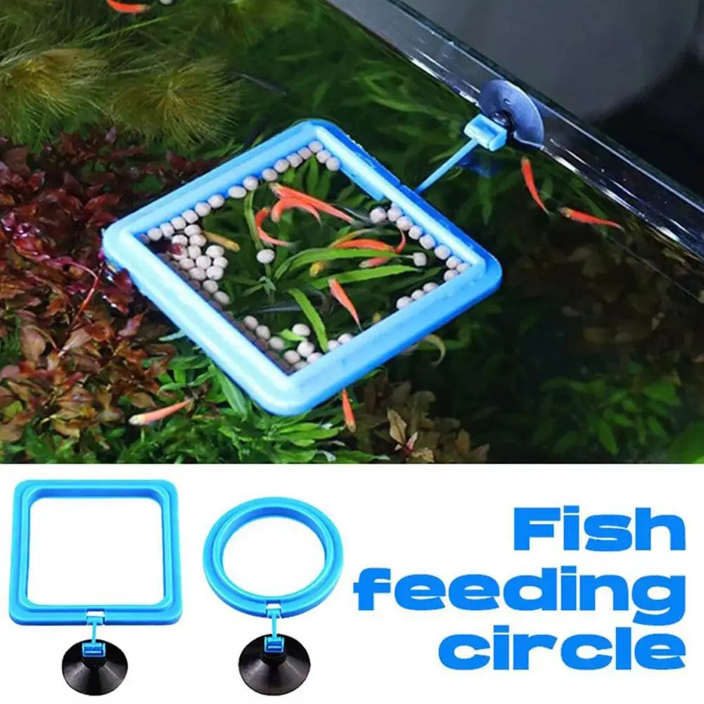 Floating Fish Feeding Ring with Suction Cup – Aquarium Feeder Aquarium Feeding Ring Richie's
