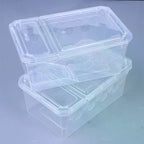 Reptile Breeding Box Vivarium – Clear Plastic Enclosure Reptile Vivarium Richie's