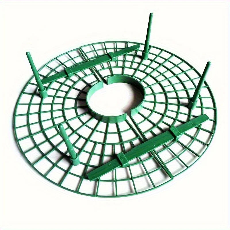 Strawberry Plant Support Stakes for Pots – 2pcs Set | Richie's Plant Support Stakes Richie's