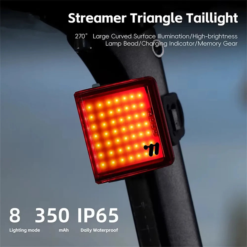 WEST BIKING Bike Tail Light 8 Modes IP65 Waterproof LED Rear Bike Tail Light Richie's