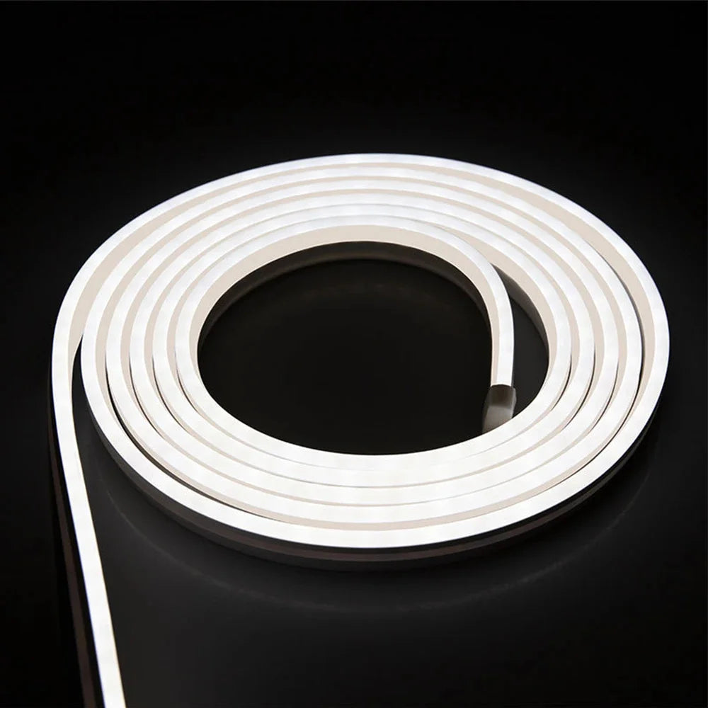 Tesla Model 3 & Y Frunk LED Surround Light Strip – IP67 Automotive LED Strip Richie's WHITE Model 3