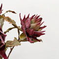 Flocked Artificial Emperor Protea Flower Large Silk Bloom 65cm Artificial Flower Richie's L-Red