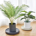 Plant Saucer with Wheels – Rolling Plastic Pot Tray 19/22/25cm Rolling Plant Saucer Richie's