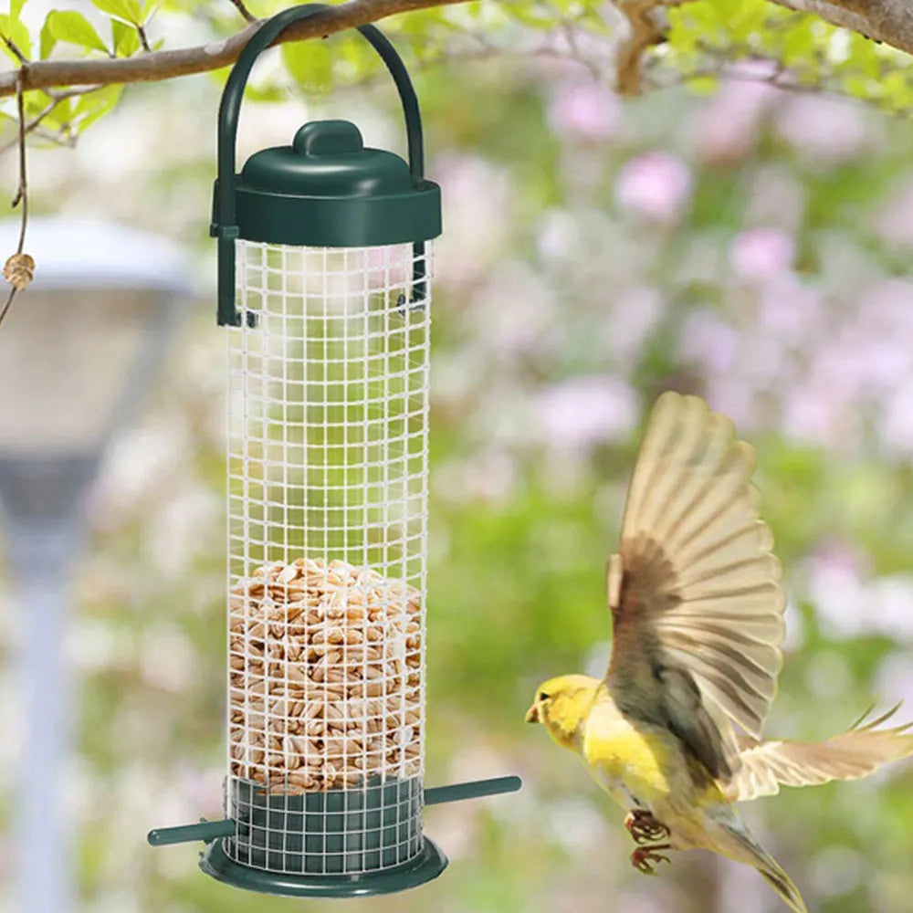 3-Pack Hanging Wild Bird Feeders – Transparent Seed Dispenser Wild Bird Feeder Richie's