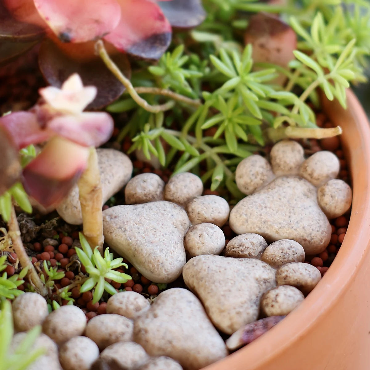 10pcs Resin Cat Paw Garden Stepping Stones – Lawn Decor Garden Stepping Stones Richie's