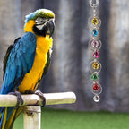 Colorful Parrot Swing with Bell & Anti-Skid Metal Ring Bird Swing Toy Richie's