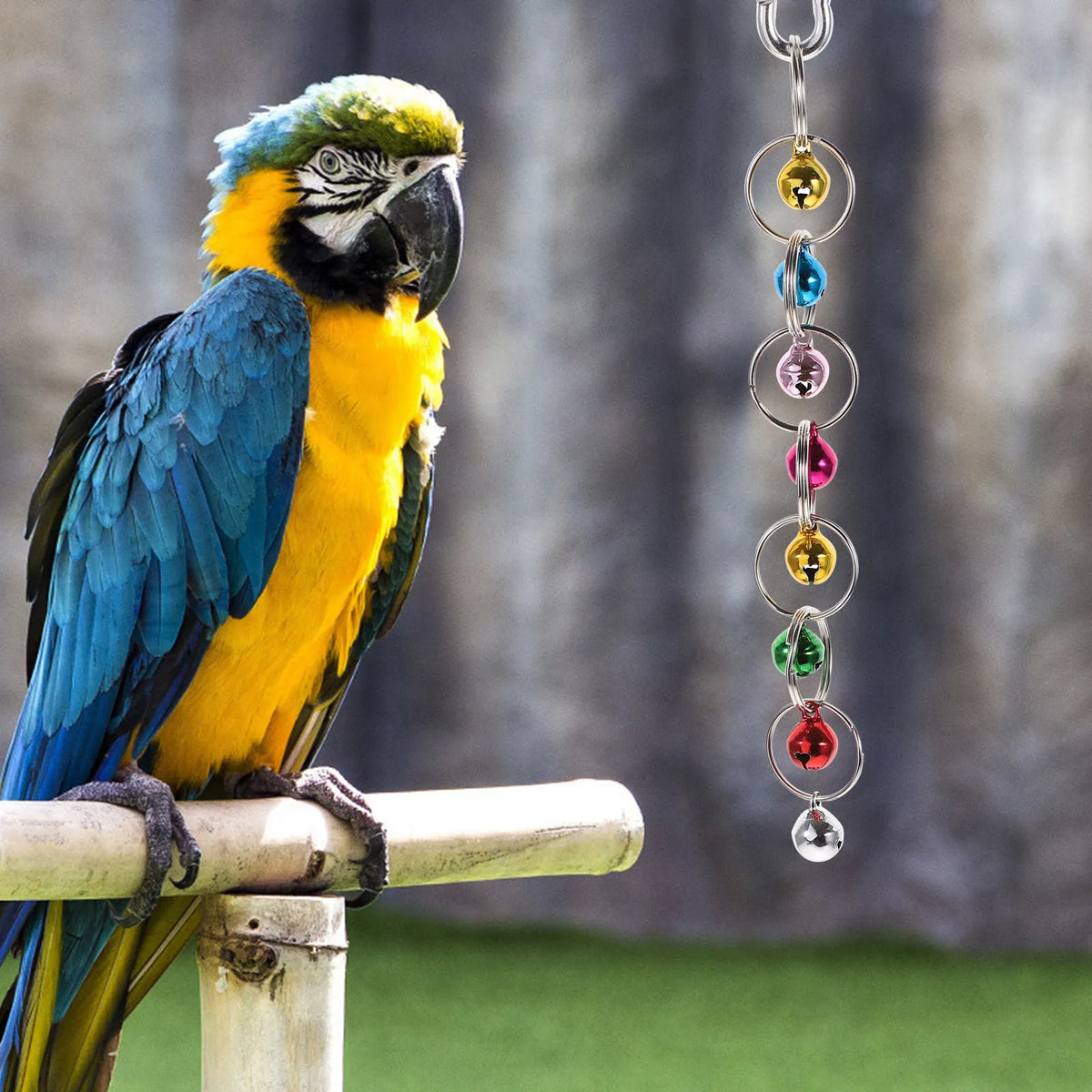 Colorful Parrot Swing with Bell & Anti-Skid Metal Ring Bird Swing Toy Richie's