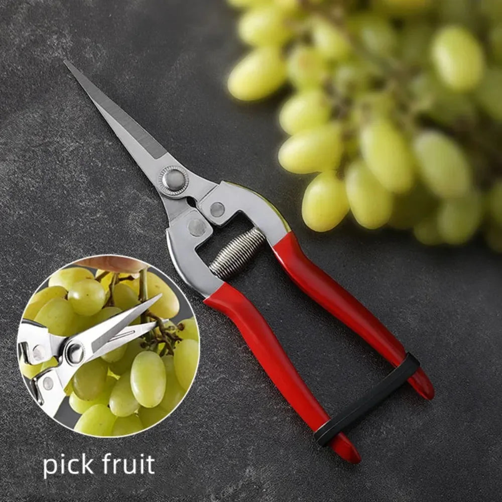 TOTNEND Stainless Steel Pruning Shears | Garden Scissors Pruning Shears Richie's