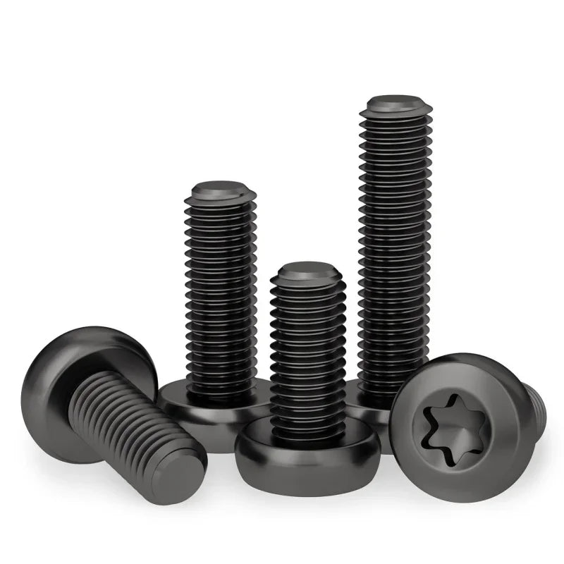 Black 304 SS Torx Pan Head Tamper-Proof Security Screws M3–M10 Security Screws Richie's