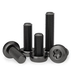 Black 304 SS Torx Pan Head Tamper-Proof Security Screws M3–M10 Security Screws Richie's