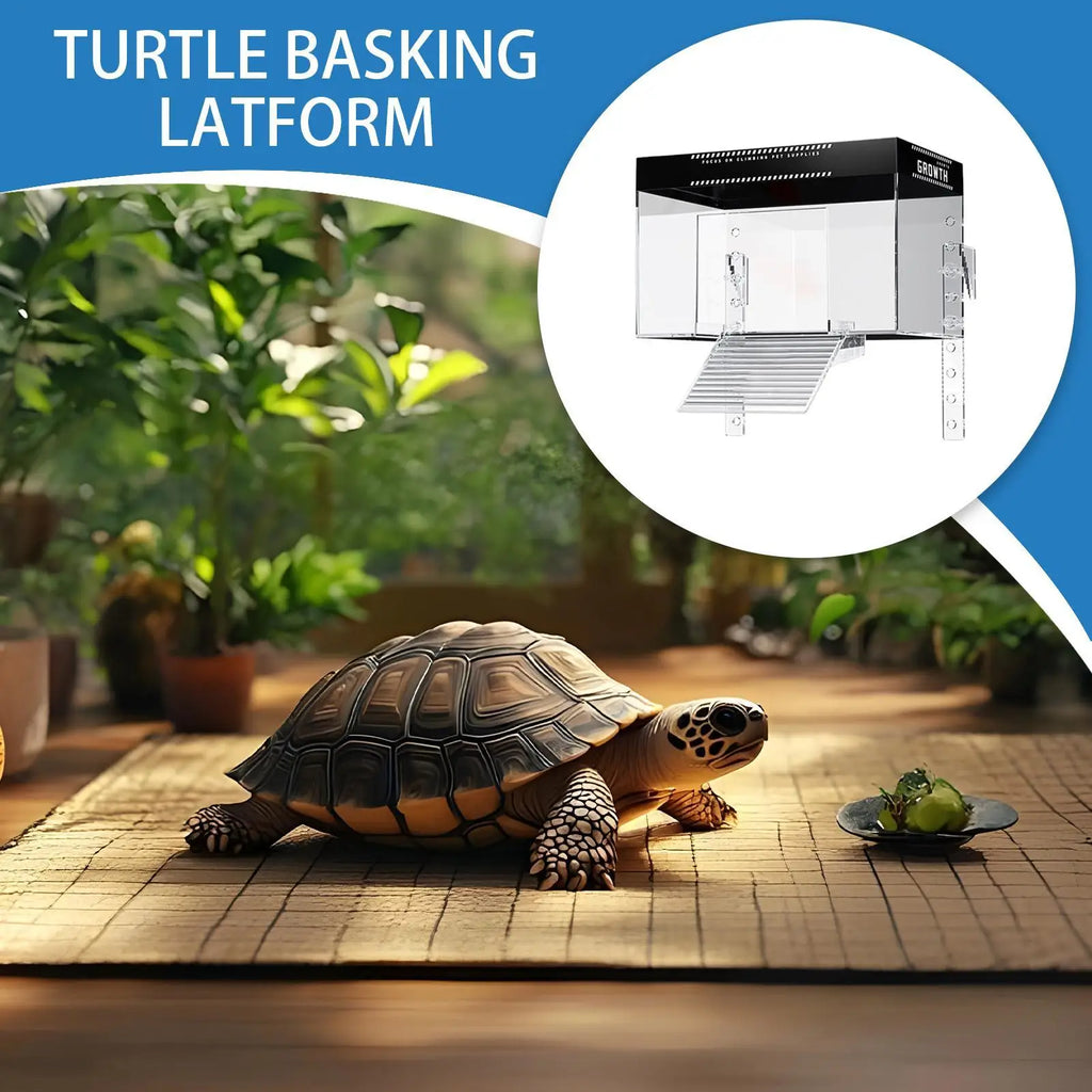 Turtle Tank Basking Dock with Anti-Slip Ramp – 2 Sizes Reptile Basking Dock Richie's