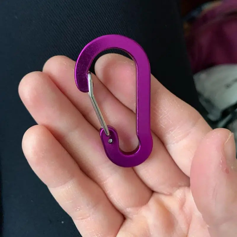 5-Pack Mini Aluminum Carabiner Clips – Scratch-Resistant Carabiner Clips Richie's