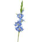 Purple White Artificial Gladiolus Branch – PU Fake Flower Stem Artificial Flower Stem Richie's Blue