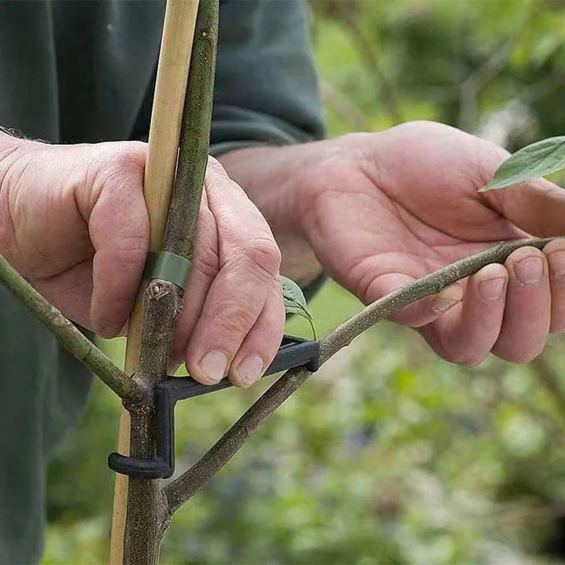Plant Branch Bender Training Clips – Bonsai & Vine Support 10pc Plant Training Clips Richie's