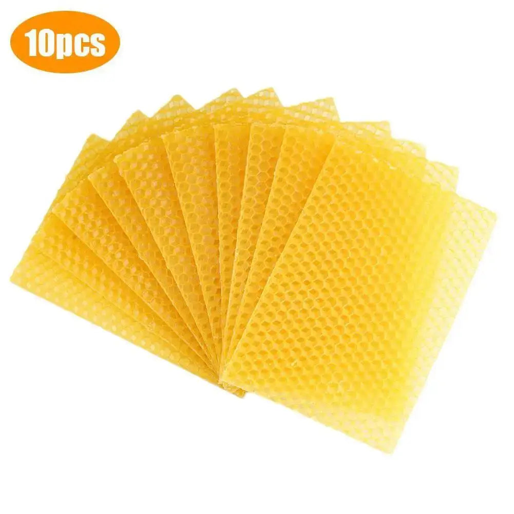 10 Pcs Beeswax Honeycomb Foundation Sheets – Beekeeping Beekeeping Foundation Richie's