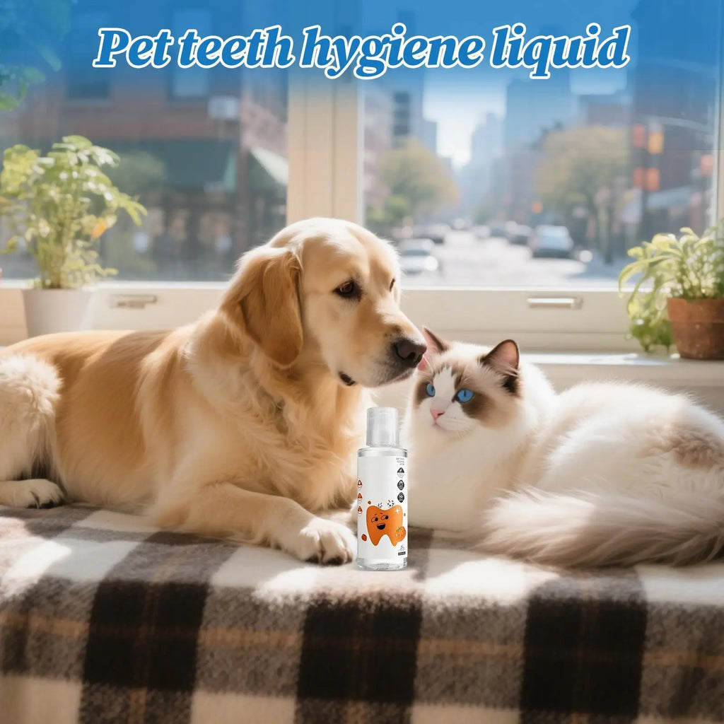Dog Breath Water Additive 200ml – No-Brush Pet Oral Care Pet Oral Care Richie's