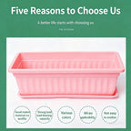 Rectangular Plastic Planter Pot with Tray – Large Balcony Garden Garden Planter Pot Richie's