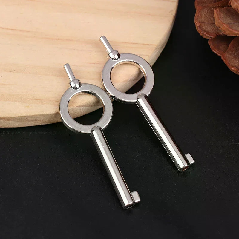Zinc Alloy Handcuff Keys 2pcs – Universal Flat Key Blank Handcuff Keys Richie's