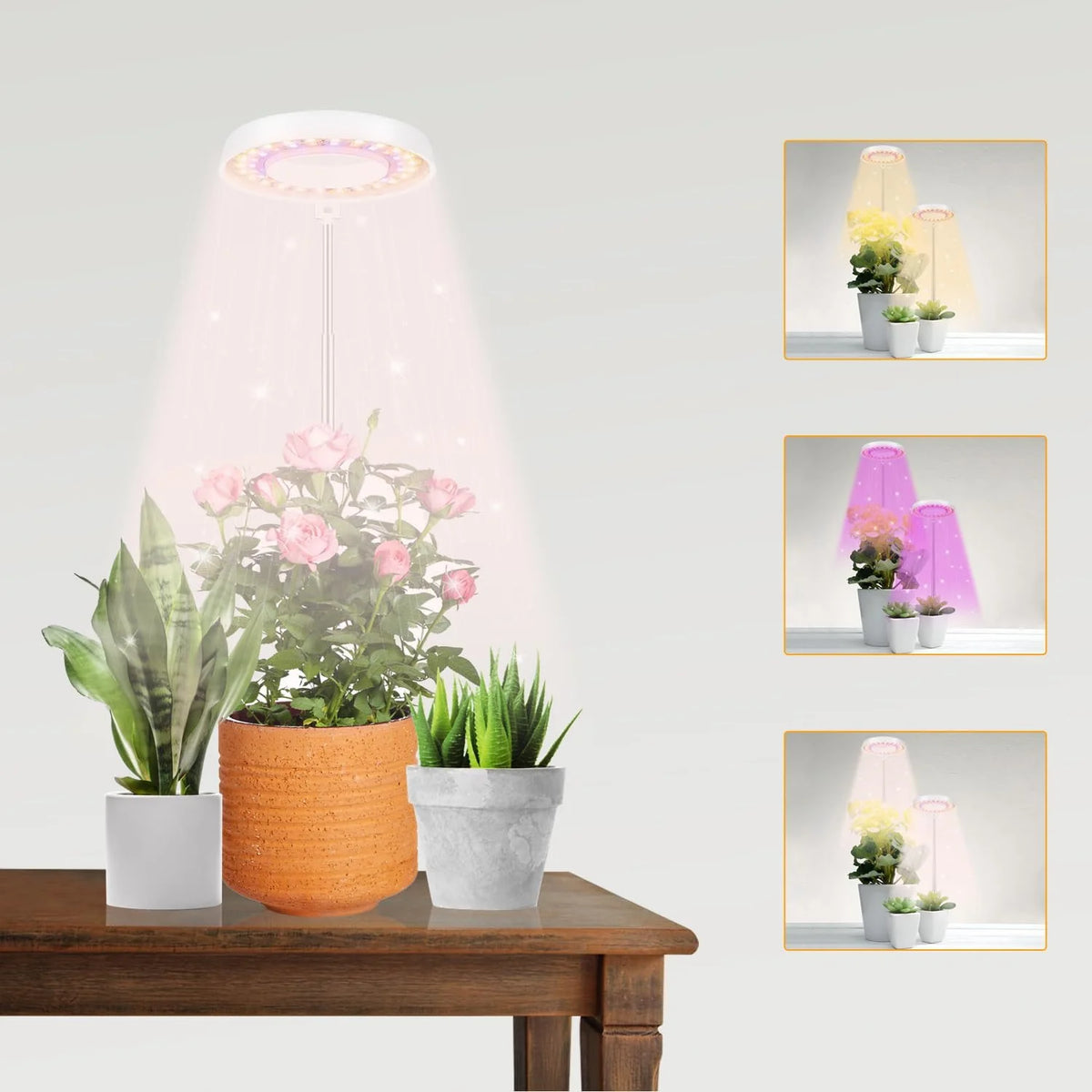 KEBINCPLED Angel Ring LED Grow Light | Full Spectrum USB 5V LED Grow Light Richie's 1PC White 3Colors USB No plug