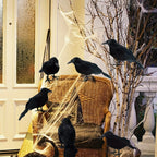 Realistic Feathered Crow Raven Halloween Decoration Ornament Halloween Decoration Richie's