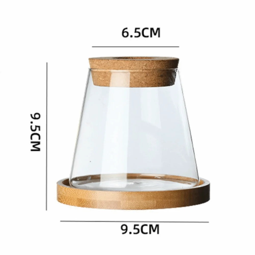 Glass Propagation Station Vase Rack with Wooden Base Glass Propagation Vase Richie's Style6