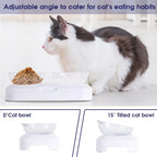 Tilted Elevated Cat Double Bowl – 15° Ergonomic Non-Slip Set Elevated Cat Bowl Richie's