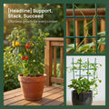 5-Pack Plastic Plant Trellis Support for Climbing Plants & Vines Garden Plant Trellis Richie's Default Title
