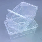 Reptile Breeding Box Transparent Vivarium Tank for Lizards & Spiders Reptile Vivarium Richie's