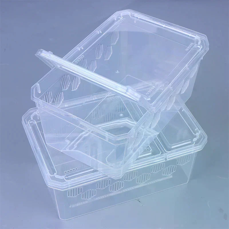 Reptile Breeding Box Vivarium – Clear Plastic Enclosure Reptile Vivarium Richie's