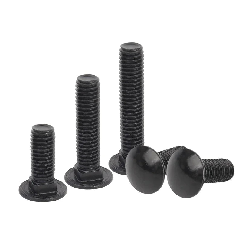 M3–M6 Black 304 Stainless Steel Carriage Bolts 8–100mm Carriage Bolts Richie's