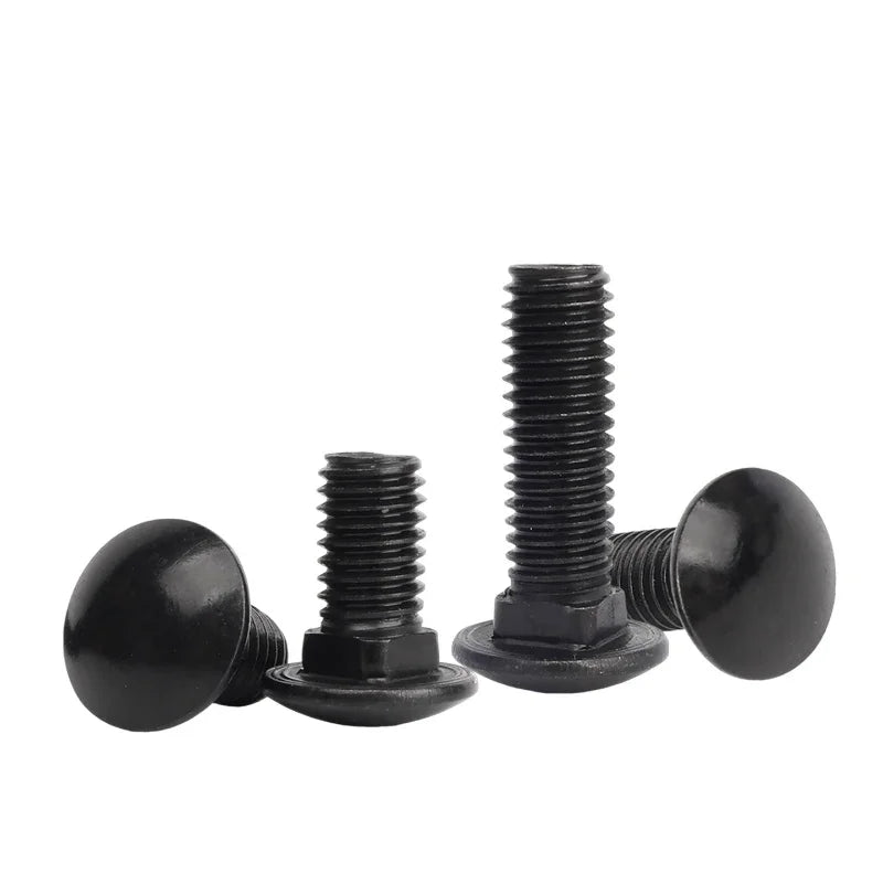 M3–M6 Black 304 Stainless Steel Carriage Bolts 8–100mm Carriage Bolts Richie's