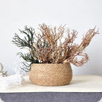 Antler-Shaped Artificial Tree Branch Bonsai Home Decor Artificial Plant Decor Richie's