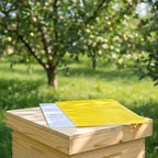 Food Grade Queen Excluder Grid – Reusable Beekeeping Tool Beekeeping Equipment Richie's