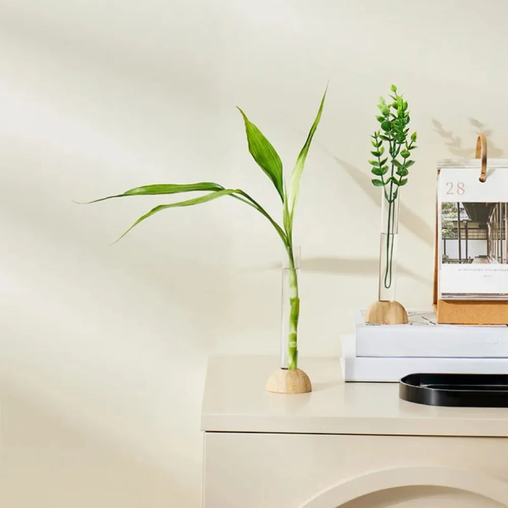 Hydroponic Test Tube Vase with Bamboo Base | Clear Tabletop Decor Hydroponic Flower Vase Richie's