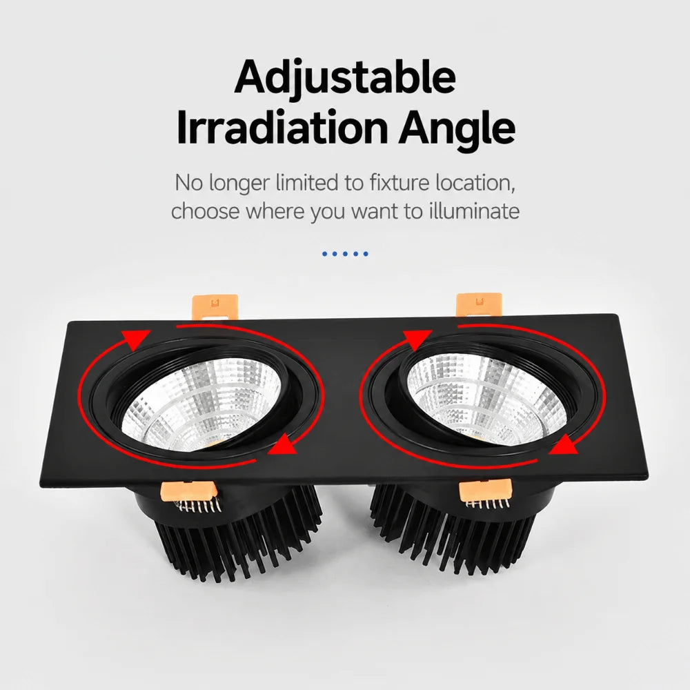 2×7W Double Head Recessed COB LED Downlight Spotlight Recessed LED Downlight Richie's
