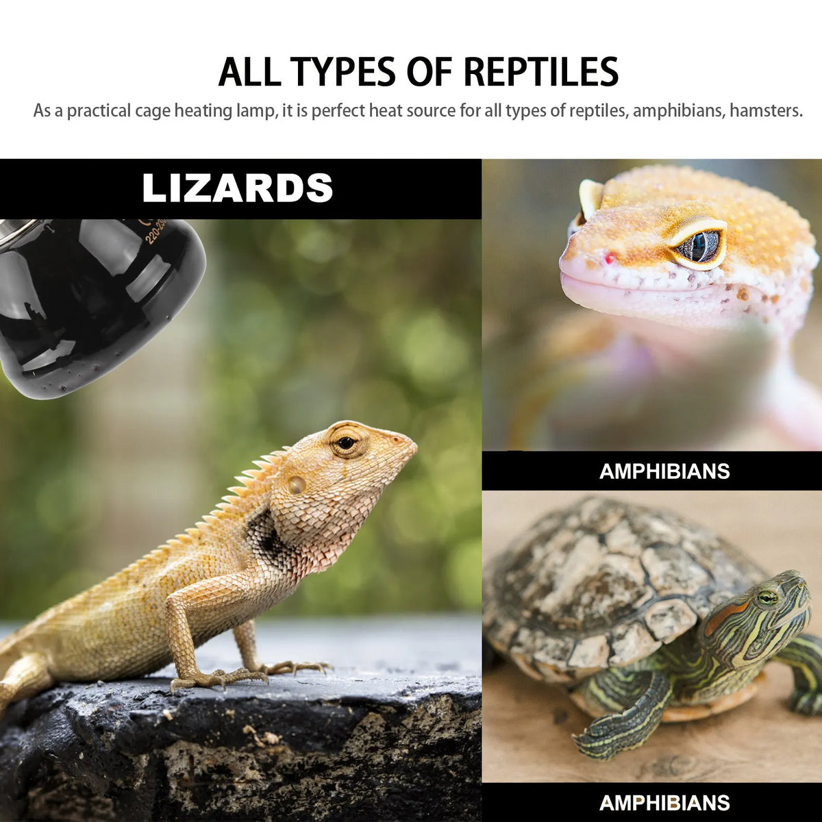 40W E27 Ceramic Reptile Heating Lamp for Tanks & Enclosures Reptile Heating Lamp Richie's