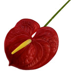 60cm Artificial Anthurium Flower – Real Touch Faux Plant Decor Artificial Flower Richie's Red