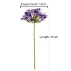 Artificial Agapanthus Flower Branch 75cm – Faux Floral Decor Artificial Flower Branch Richie's