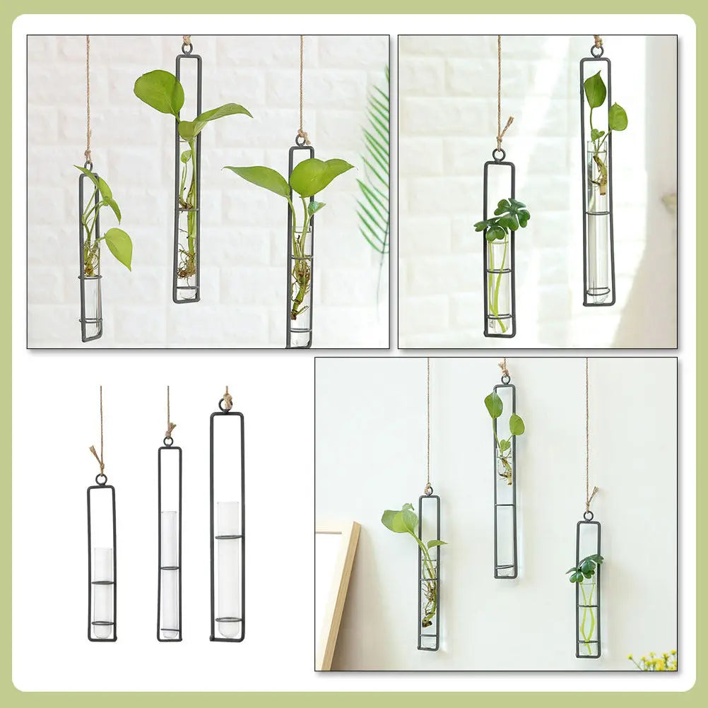 Wall Hanging Hydroponic Glass Tube Planter Set with Iron Rack Wall Planter Set Richie's