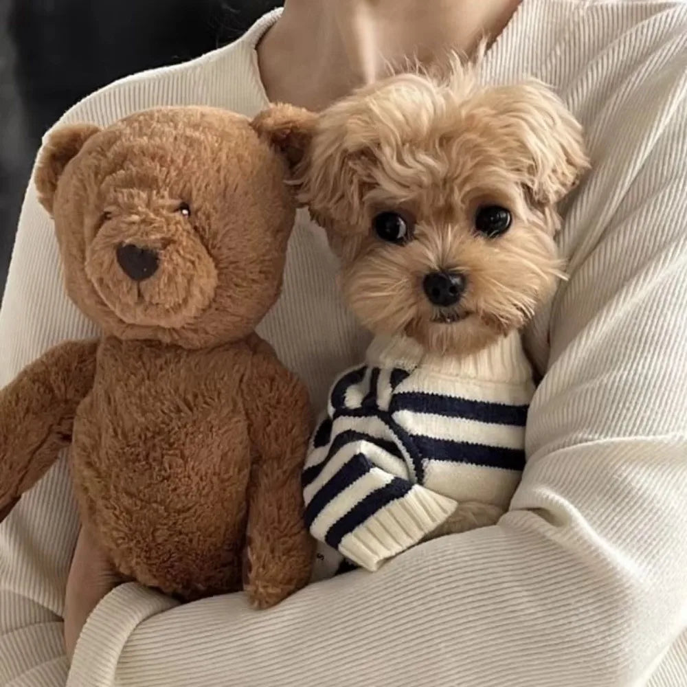 Striped Knitted Dog Sweater – Warm Cotton Pet Coat Dog Sweater Richie's