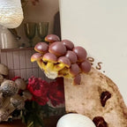 3D Mushroom Fridge Magnets – Cute Resin Cartoon Home Decor Decorative Fridge Magnets Richie's B