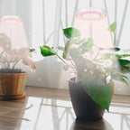 KEBINCPLED Angel Ring LED Grow Light | Full Spectrum USB 5V LED Grow Light Richie's